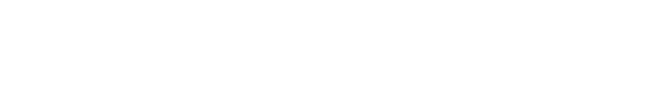 Diario Financiero